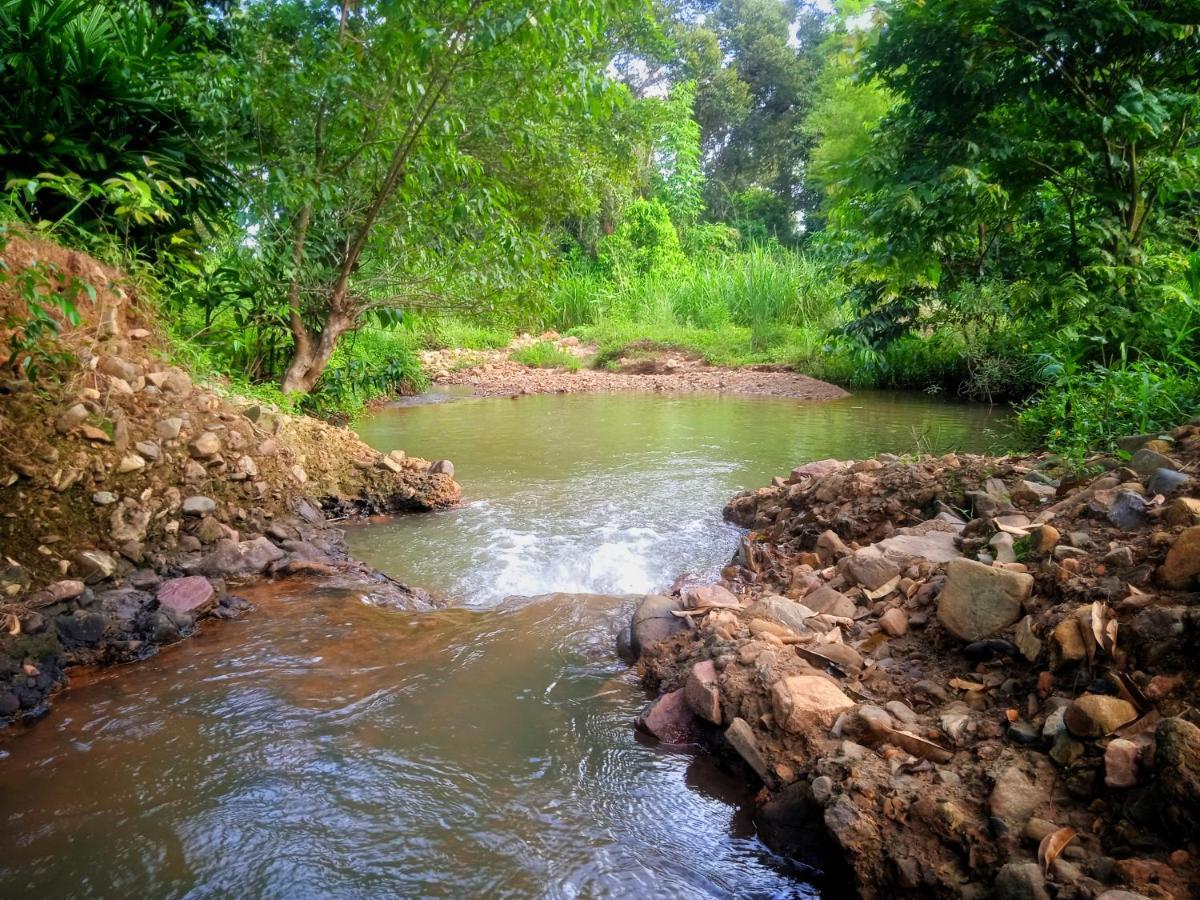 Awanaz Farmstay With Pool And Farm Animal Jitra Kedah Ngoại thất bức ảnh